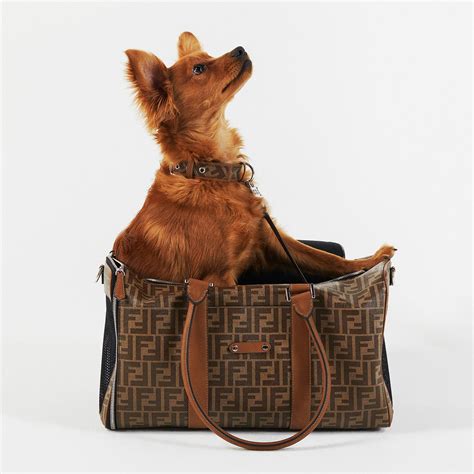 Fendi’s New Pet Accessory Line Is the Best Thing 